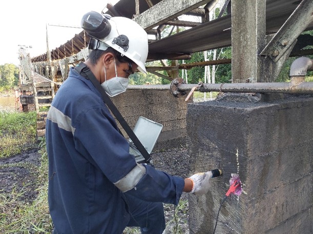 Audit Struktur PACA