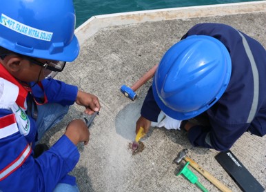Audit Struktur PACA